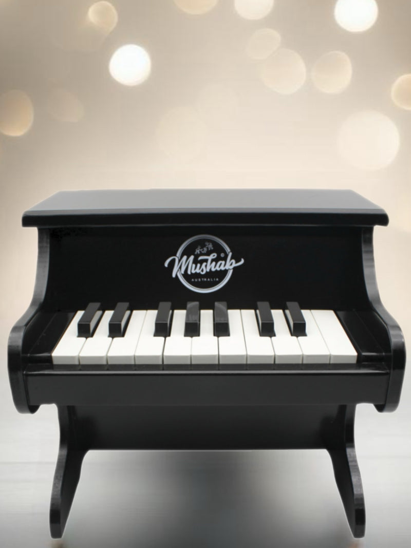 Childrens 18 key Piano