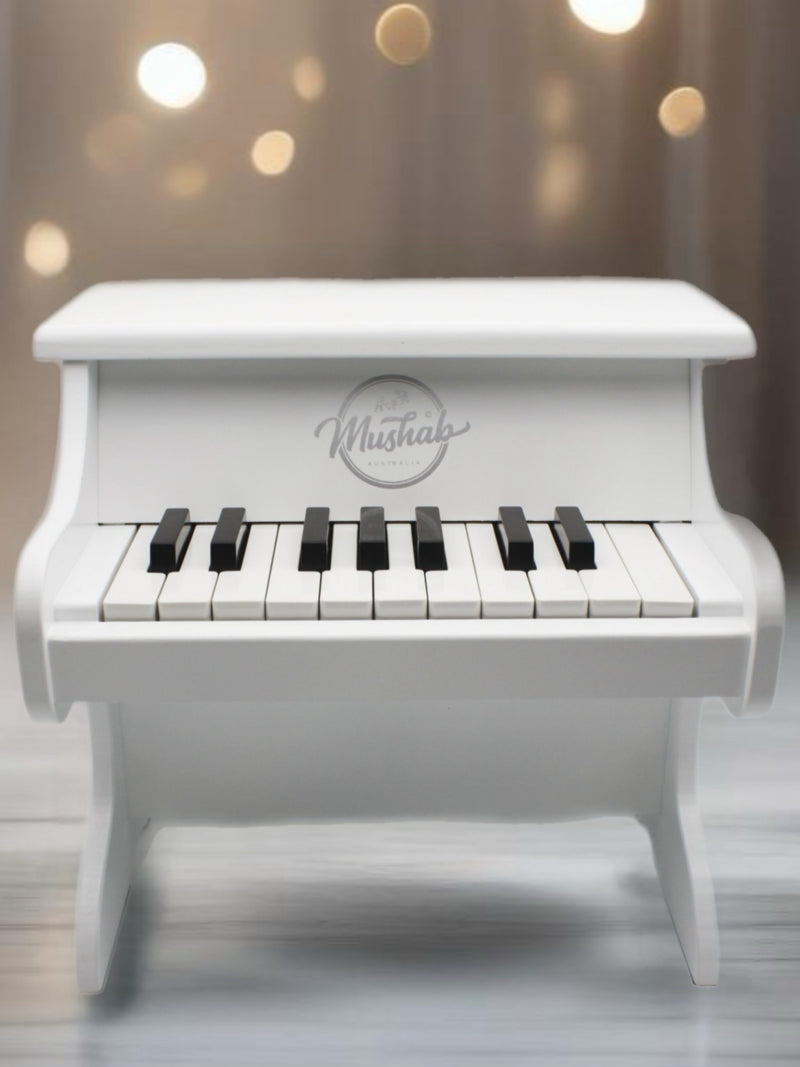 Childrens 18 key Piano